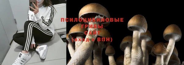 твердый Каменногорск