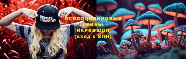 кокаин Каменка