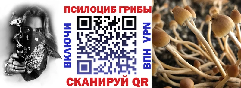 Галлюциногенные грибы мухоморы  Купить закладки  Нахабино 